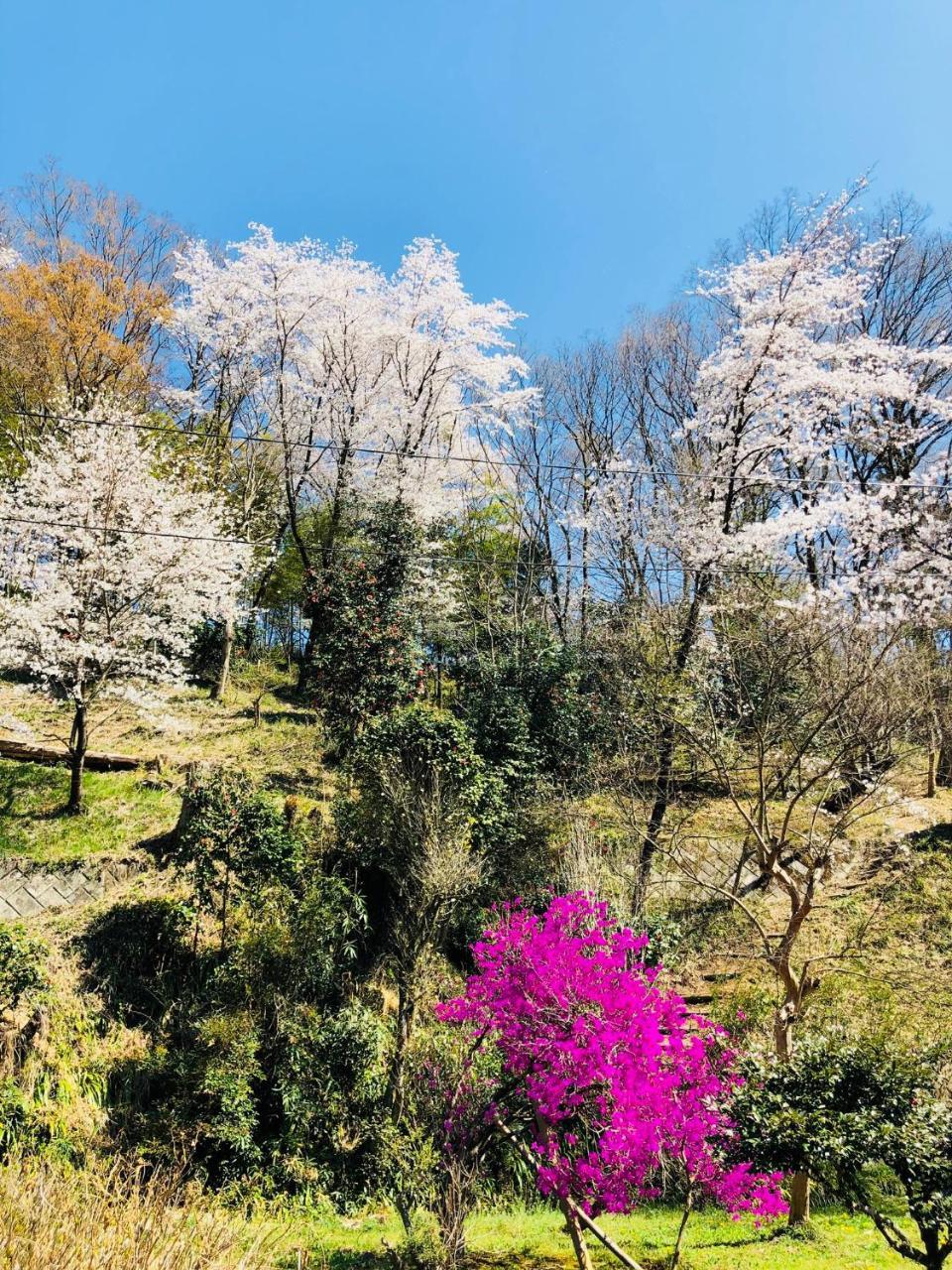 Ryutakuzenji 宿坊 Takasaki Buitenkant foto