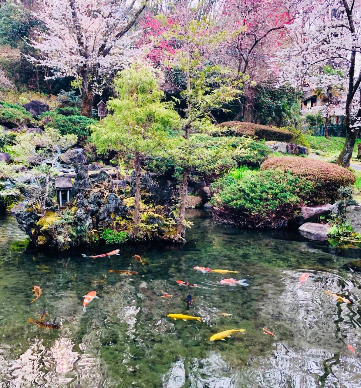 Ryutakuzenji 宿坊 Takasaki Buitenkant foto